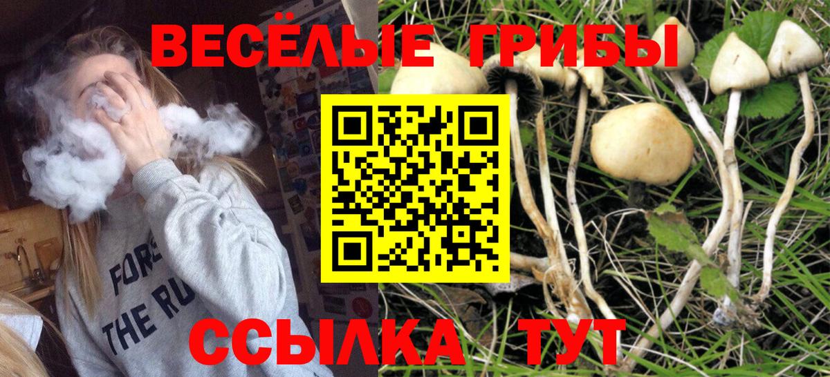 Галлюциногенные грибы ЛСД  Вход с VPN  Галлюциногенные грибы Psilocybe  Нижнеудинск 